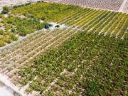 CASA + TERRENO EN PRODUCCIÓN EN LA SERRANA