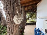 Casa Terrera en Finca Rústica en Guimar, Barranco de Badajoz