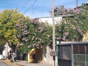 Casa tipo duplex en 827 viviendas, en Gral. Roca