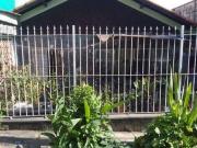 Casa Tucuruvi terreno amplo