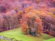 Casa Udi Ochagavia Navarra