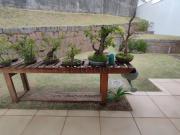 Casa à venda em Valinhos, Jardim Monte Verde, com 2...