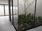 CASA VENTA $8,290,000 MN BARRO CARRETERA NACIONAL