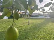 Casa Venta Algeciras, Colonia San Miguel Los Pinos