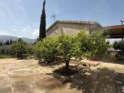 Casa Venta Alhama de Murcia, Alhama de Murcia