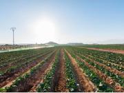 Casa Venta Alhama de Murcia, Alhama de Murcia