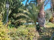 Casa Venta Alicante Alacant, La Condomina