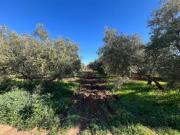 Casa Venta Antequera, Centro