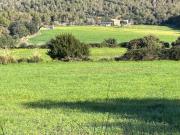 Casa Venta Artà, Artà