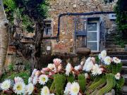 Casa Venta Barcelona
