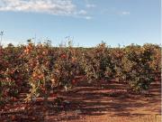 Casa Venta Benifaió, Benifaió