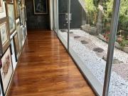 CASA VENTA BOSQUE DE CAFETOS