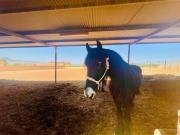 Casa Venta Cartagena, Cartagena