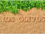 Casa Venta Elx Elche, Torrellano Valverde Parc Empresarial