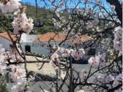 Casa Venta Guía de Isora, Aripe