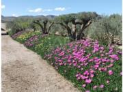 Casa Venta Lorca, La Hoya Almendricos Purias