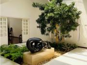 CASA VENTA LOS CHORROS ​​​​​​​3.000 M2 tno