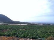 Casa Venta Los Silos, Barrio de San José Bajo