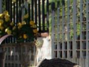 Casa Venta Malgrat de Mar, Malgrat de Mar