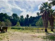 Casa Venta Orba, Orba