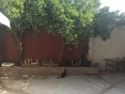 Casa Venta Talavera de la Reina, Patrocinio de San José...