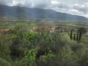 Casa Venta Ulldecona, Les Ventalles