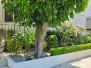 CASA VENTA UNA PLANTA CUMBRES ELITE