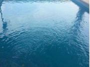 Casa Venta Villanueva de Tapia, Villanueva de Tapia