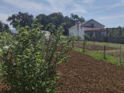 Casa / Villa T3 em Chão de Couce de 86,00 m²