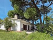 Casa / Villa T4 em Madalena e Beselga de 170,00 m² 170m²...