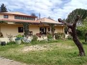 Casa / Villa T5 em Guia de 368,00 m²