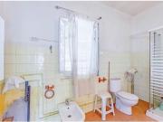 CASA Y LOCAL COMERCIAL EN GRAN TERRENO DE 420 M2 CASA Y LOCAL COMERCIAL EN GRAN TERRENO DE 420 M2