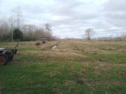 Casa Zona Delta Tigre