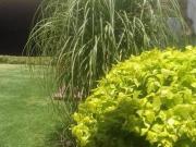 Casa zona Norte León, Gto. Villas del Campestre Casa zona Norte León, Gto. Villas del Campestre