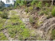 Casaa 1 quarto, Amarante Amarante DS94385934