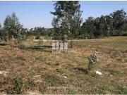 Casaa 1 quarto, Barcelos Barcelos DS95853894