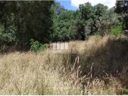 Casaa 1 quarto, Caminha Caminha DS95489010