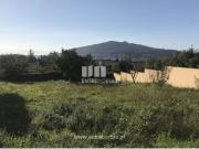 Casaa 1 quarto, Caminha Caminha DS98811048