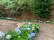 Casaa 1 quarto, Machico Machico DS93059329