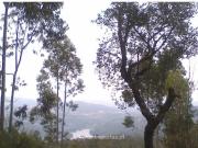 Casaa 1 quarto, Penafiel Penafiel DS88546390