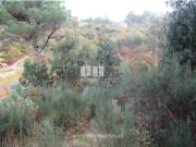 Casaa 1 quarto, Penafiel Penafiel DS93860314