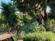 Casaa 1 quarto, Tavira Tavira DS87563416