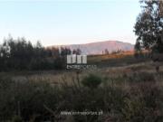 Casaa 1 quarto, Viana do Castelo Viana do Castelo DS96007648