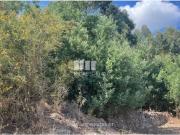 Casaa 1 quarto, Viana do Castelo Viana do Castelo DS96122849