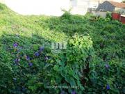 Casaa 1 quarto, Viana do Castelo Viana do Castelo DS98233461