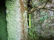 Casaa 1 quarto, Vila Verde Vila Verde DS95022960