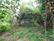 Casaa 2 quarto, Ponte de Lima Ponte de Lima DS97440171