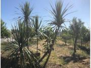 Casaa 3 quarto, Águeda Águeda DS96085101