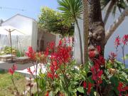 Casaa 3 quarto, Coimbra Coimbra DS89261418