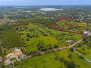 Casaa 3 quarto, Tavira Faro 8800 511 DS92224898